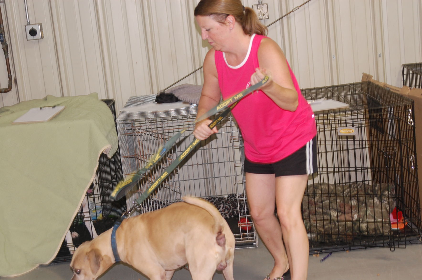 Piedmont animal rescue (21).JPG